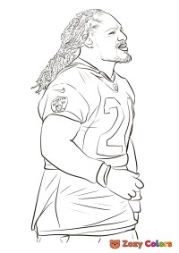 Marshawn Lynch NFL player