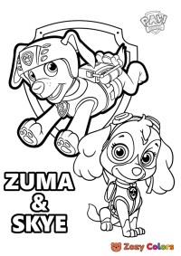 Zuma and Skye