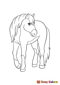 Horse posing