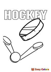 Ice hockey puck