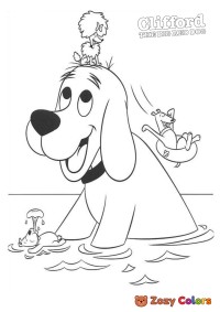 Clifford swimming with friends