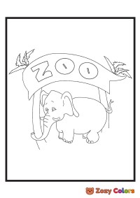 Little zoo elephant
