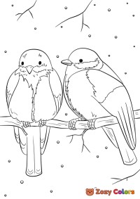 Winter birds in snow