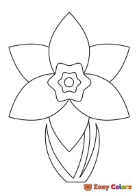 Easter Daffodil