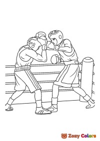 Boxers fighting