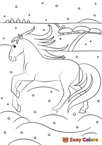 Winter horse in snow