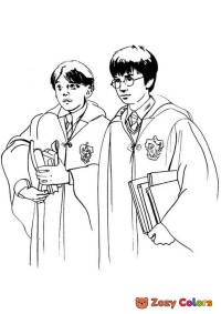 Harry and Ron in school