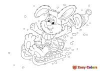 Bunny sledding on snow
