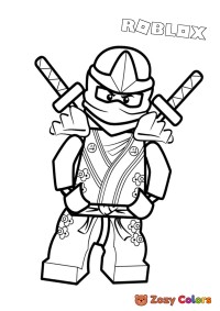 Ninja character