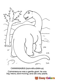 Camarasaurus