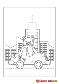 Bear in car