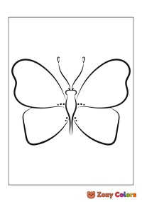 Special butterfly