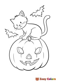 Hallween cat on a pumpkin