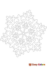 Snowflake3