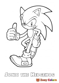 Sonic giving thumbs up