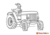 Dog driving tractor