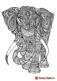 Elephant coloring page for adults