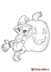 Hallween cat with a broom