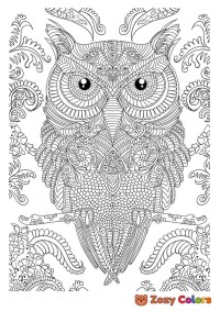 Owl coloring page for adults
