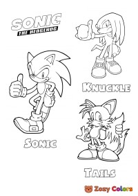 Sonic gang
