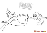 Stork carrying Vivo