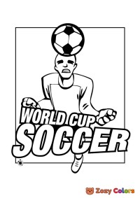 World cup soccer