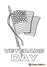 Veterans Day American flag