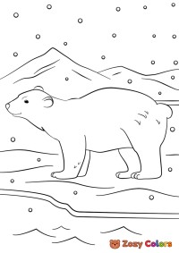 Winter polar bear