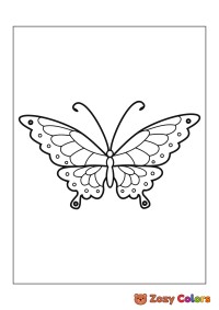 Butterfly with circles