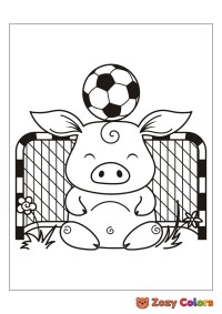 Pig football goalie